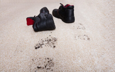 Our Family Takes Their Shoes off at the Door, Do I Still Need Carpet Cleaning?