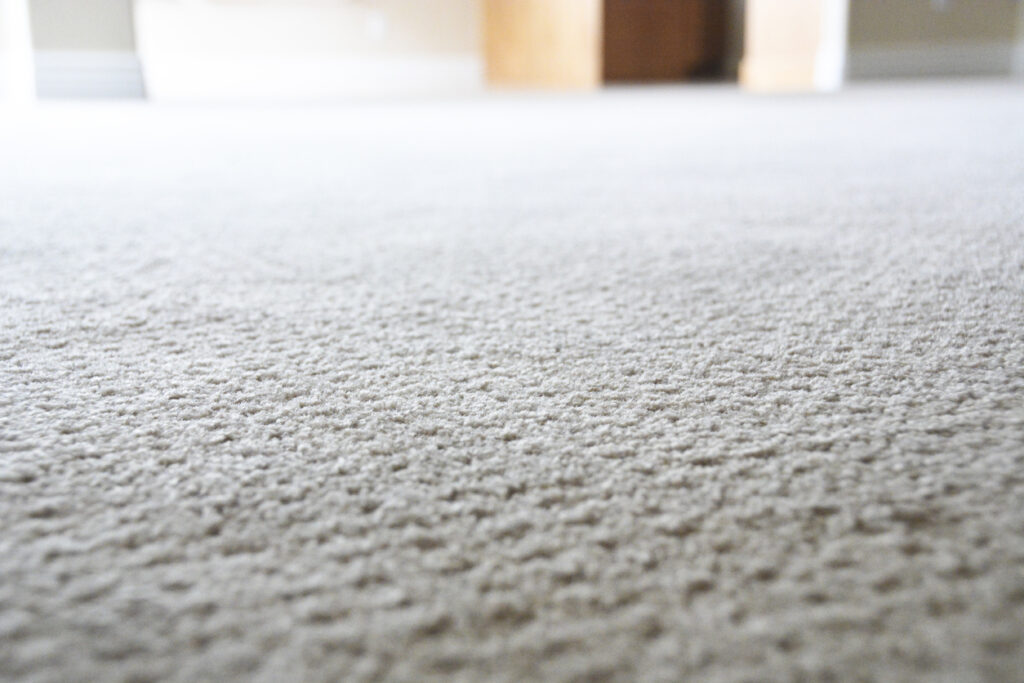 pet owners carpet tips