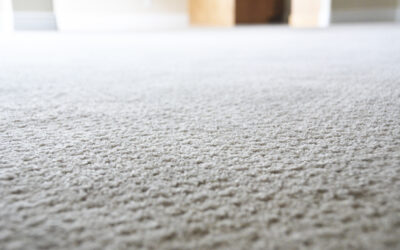 5 Pro Tips to Help Pet Owners Keep Their Carpets Clean