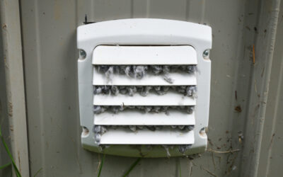 What Kind of Homeowner Needs More Frequent Dryer Vent Cleaning?