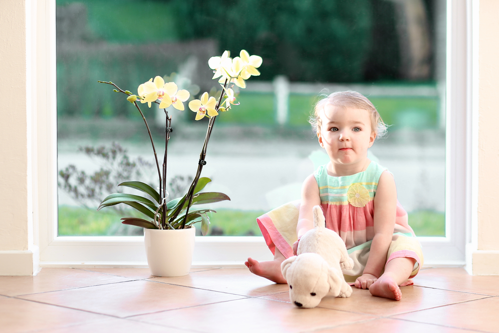 Is a Tile and Grout Cleaning Service Safe for My Pets and Family?