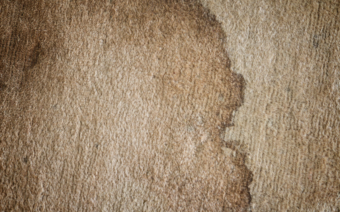 My Carpets Are Really Dirty; Should I Just Replace Them?
