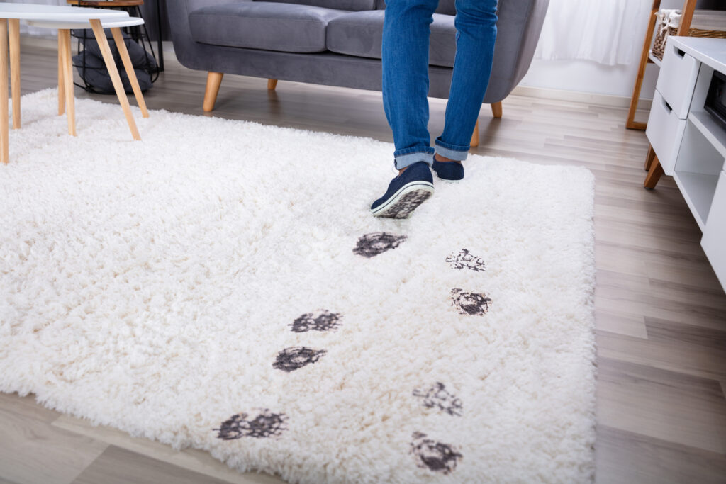 wearing shoes on carpet
