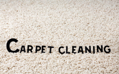 How Many Different Types of Carpet Cleaning Techniques Are There?