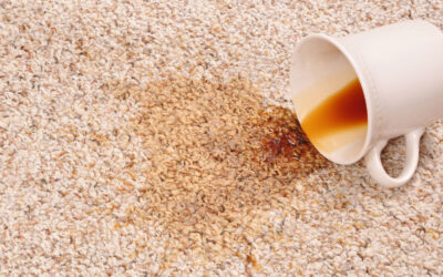 The Hazards of Neglecting Your Carpets