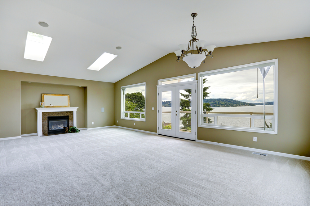 Should I Use a Carpet Shampooer Between Carpet Cleaning Visits?
