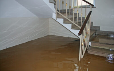 Will Carpet Cleaning Help if My House Floods?